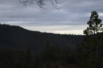 DSC_0057 (Large).JPG